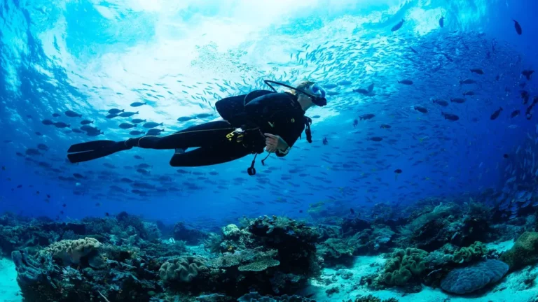 Scuba Diving in Andaman: An Outstanding Option for Adventure Sports Enthusiasts