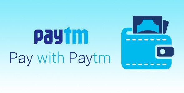 Paytm (India): An Endeavour to Make Cashless Economy for Indians for Simpler Life
