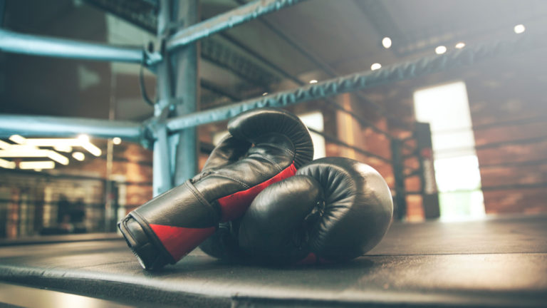 The Best Boxing Gloves Brands in India