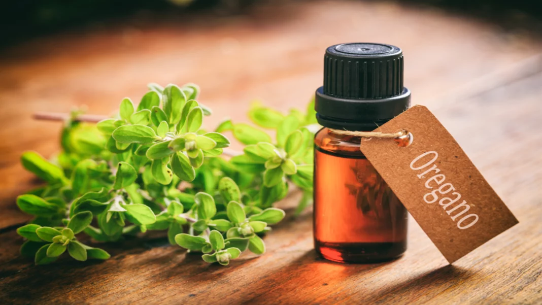 wellhealthorganic.comhealth-benefits-and-side-effects-of-oil-of-oregano