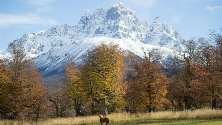 Cerro Chirripo: Exploring the Routes