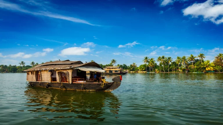 Savouring Kerala: A Tourist’s Guide to the Top 8 Experiences