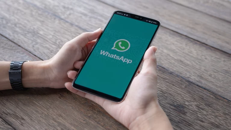 A Useful Guide to Your WhatsApp Status Download