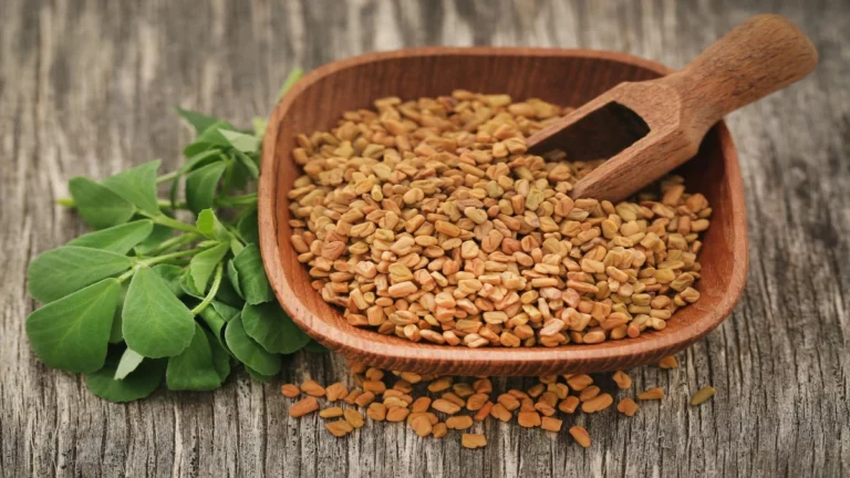 fenugreek seeds for hair