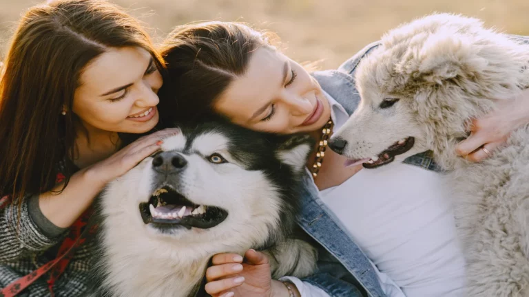 Furry Friends or Foe: Managing Pet Allergies without Saying Goodbye to Your Beloved Pets