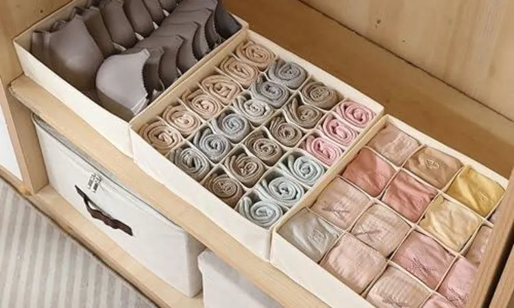 Undergarment Organizers for Wardrobes_ Drawers