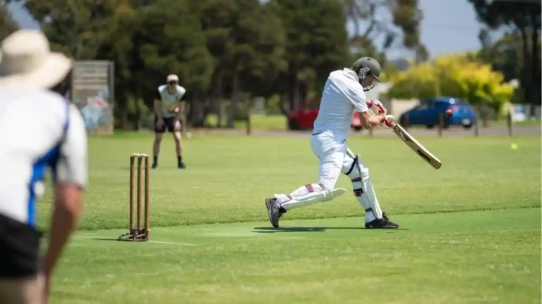 how many creases are there in cricket